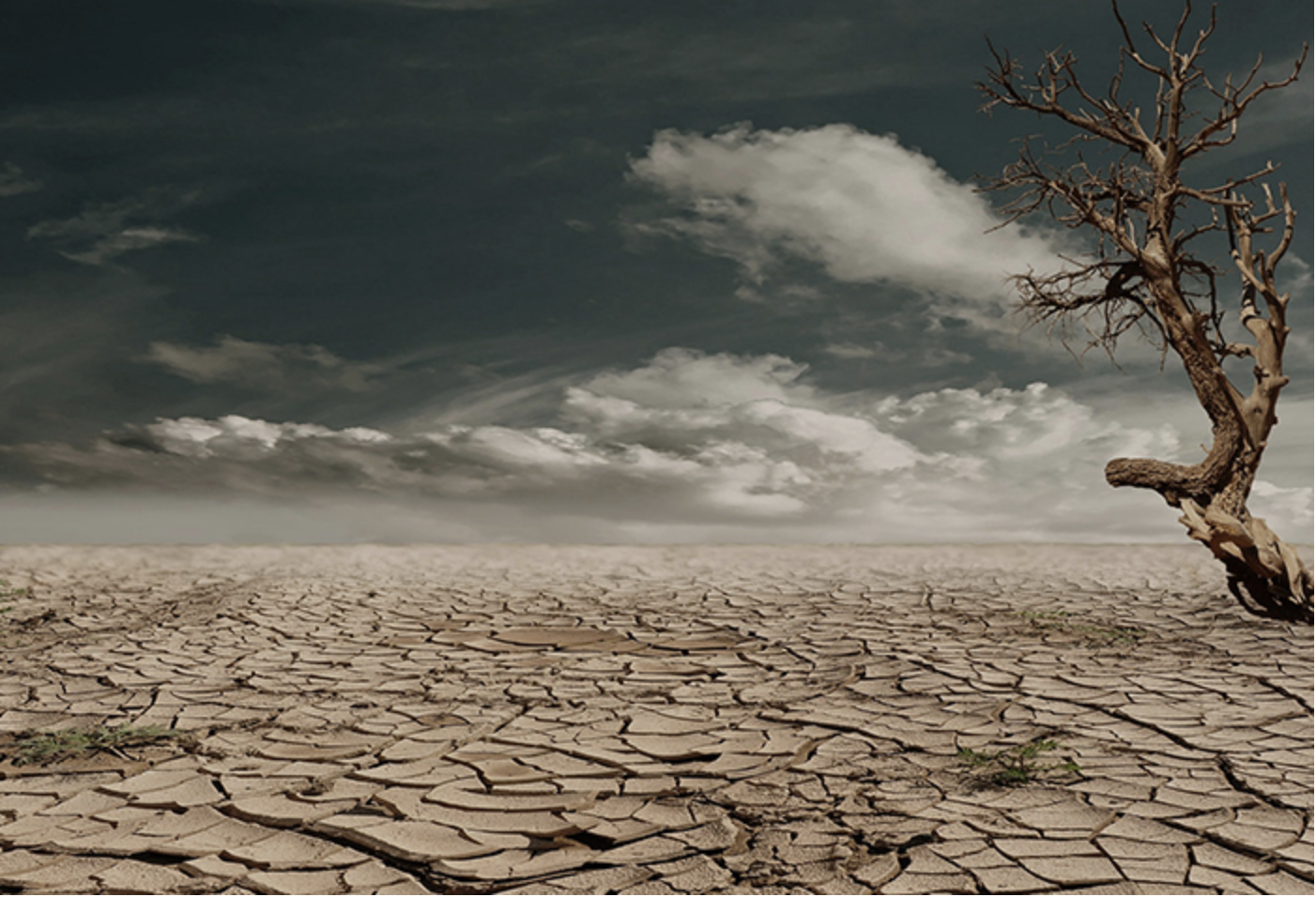 Dry and barren landscape