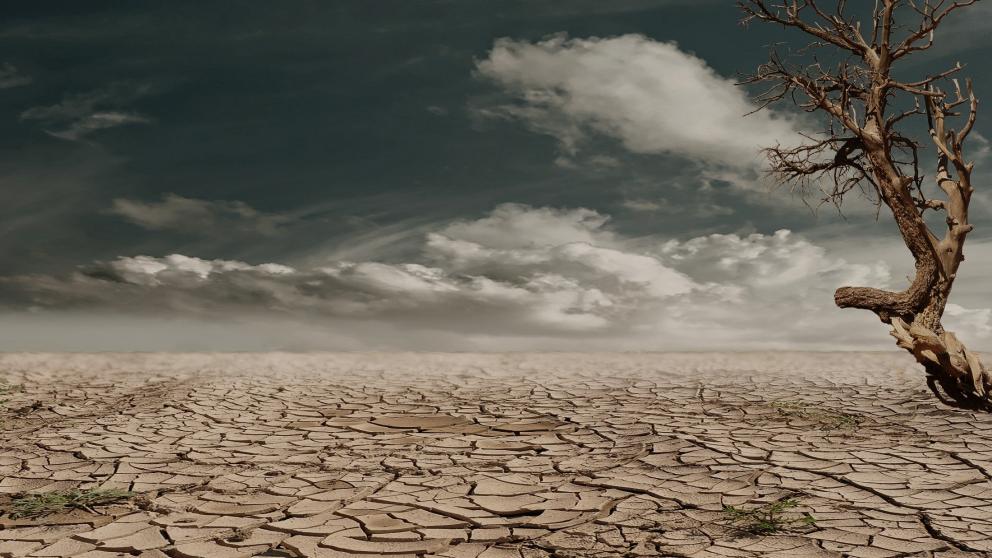 photo of dried up and cracked soil